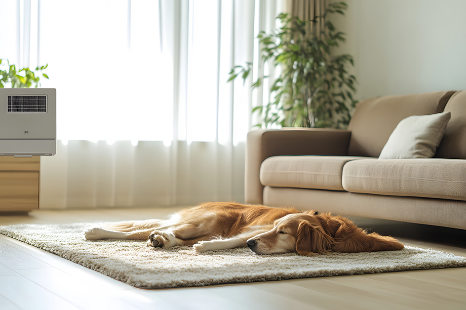 非遮光カーテンのメリット